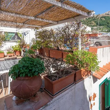 Apartmán Capri Mio